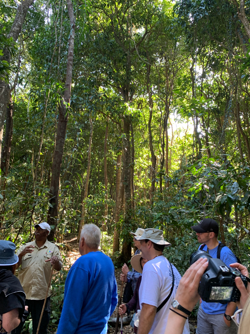 Tom leads our group tour of the Daintree Rainforest