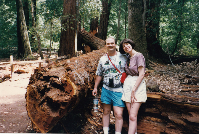 Redwoods at Big Basin