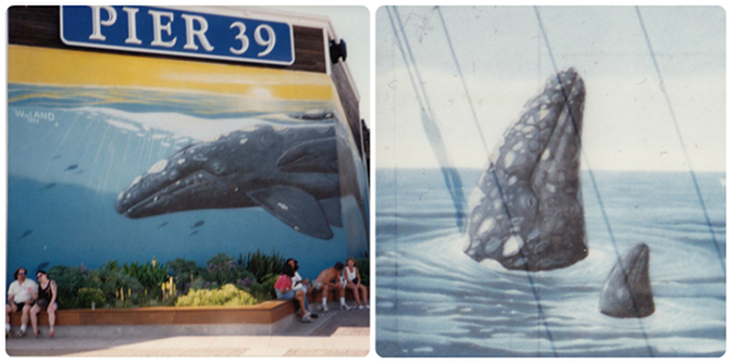 Wyland Whaling Walls, Pier 39