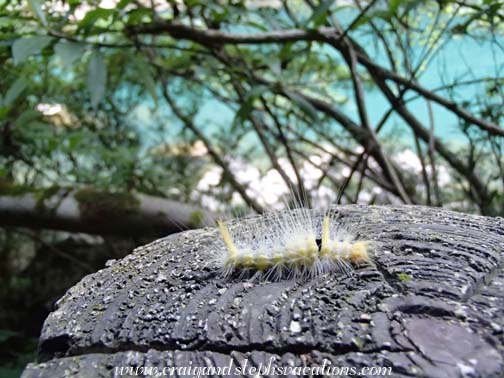 Caterpillar, Da Qi Kong Scenic Area