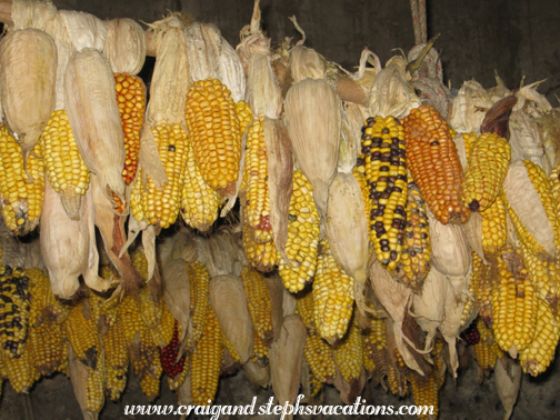 Dried corn, San Rafael