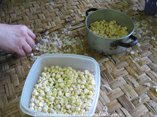 Peeling corn kernels