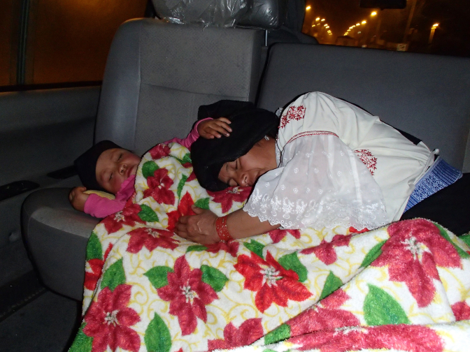 Sisa and Rosa nap on the drive home