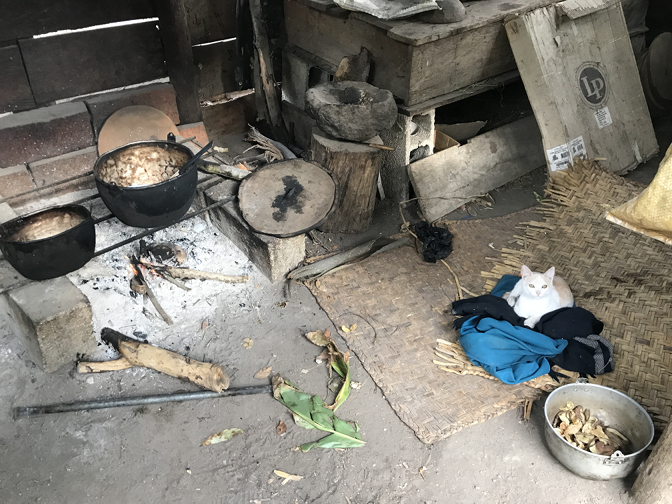 Chipi in Abuelita's outdoor kitchen