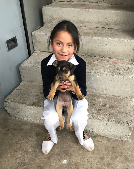 Yupanqui with Ashley's puppy