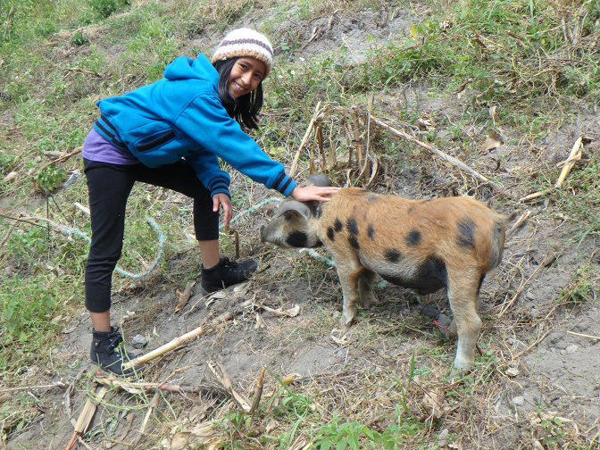 Aracely meets Abuelita's friendly piglet