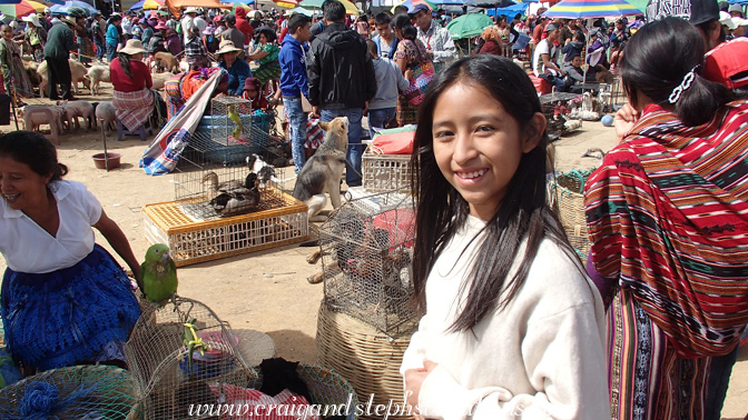 Aracely at the animal market