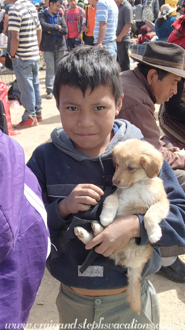 Boy selling puppies