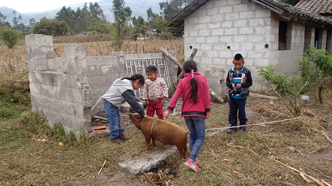 The kids introduce Eddy to Juanito the piglet
