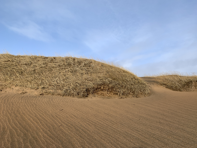 Sand Dunes, Buðir