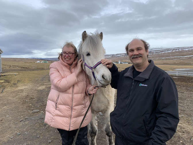 Making Friends with an Icelandic Horse at Sturlureykir Horse Farm