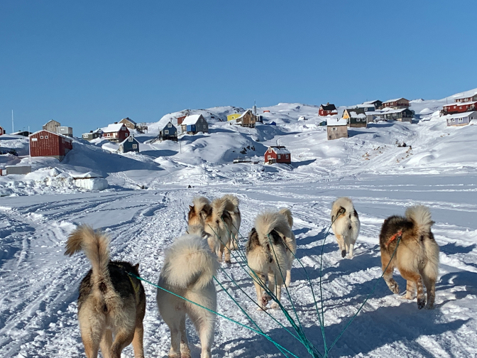 Dogsledding from Ice Camp to Tinit