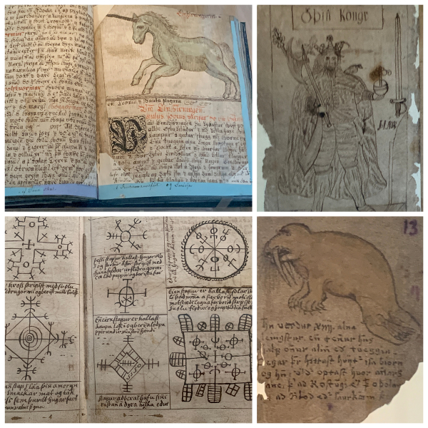 A Visual Account of Earthly Creatures (Einar Magnussen, 1689), Odin, magical symbols circa 1820, 16th century natural history manuscript