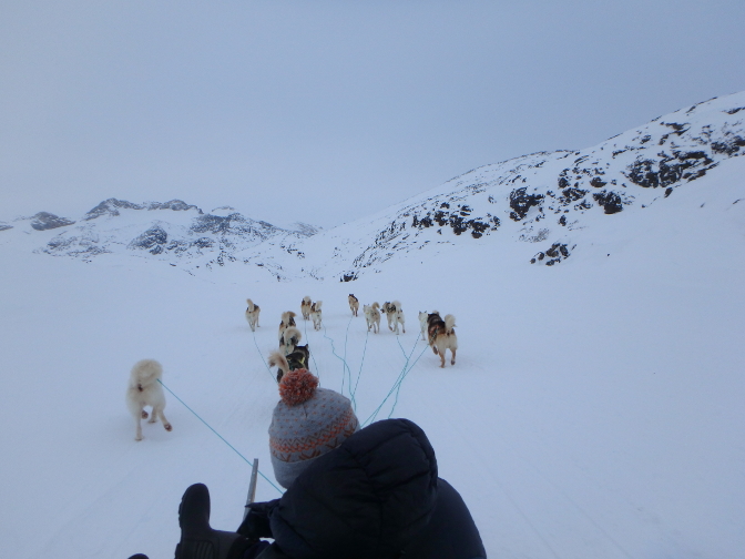 Dogsledding with Harald