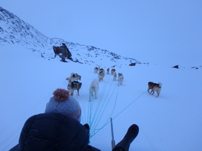 Dogsledding with Harald at twilight