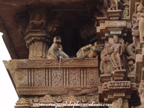 Monkeys, Khajuraho West Temple Group