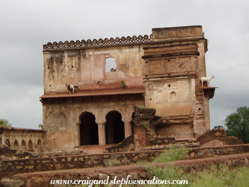 Goats on roof of ruined facade, Raja Mahal<