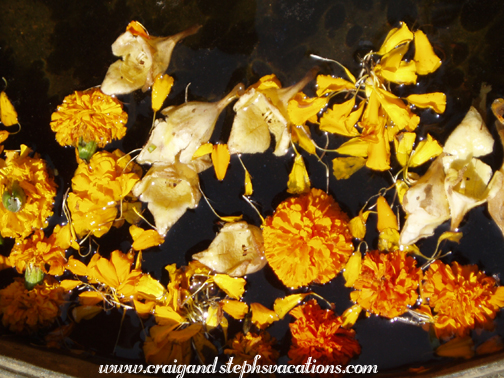 Floating marigolds in Mukul's garden