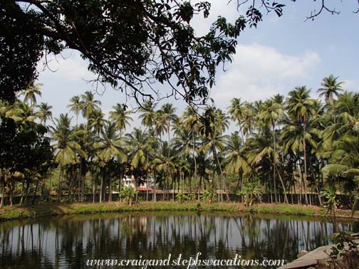 Oasis behind Brahmin heritage house