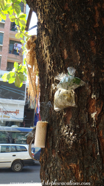 Incense on a tree to honor the Nats
