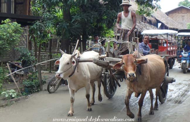 Bullock cart, Kann Village