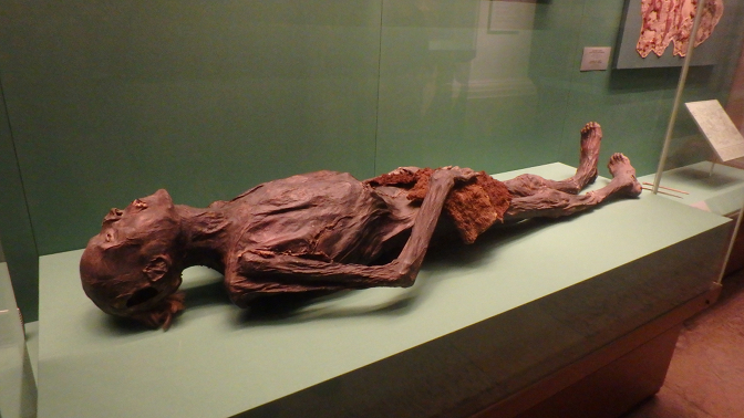 2500 year old Siberian mummy