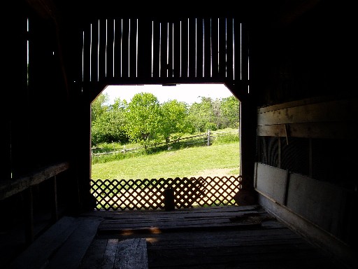 View from the barn