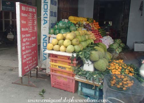 Fruit stand on the outskirts of Hanoi