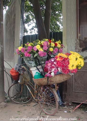Flowers and bicycle on the outskirts of Hanoi