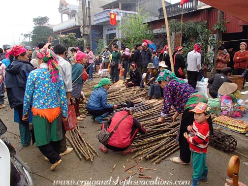 Selling sugar cane at Tien Thang Market