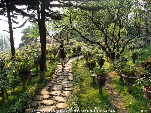 Orchid Garden, Hamrong Tourist Mountain