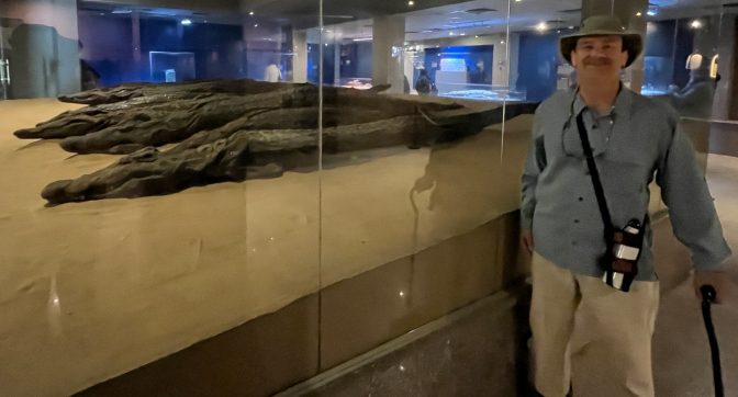 Mummified crocodiles, Kom Ombo
