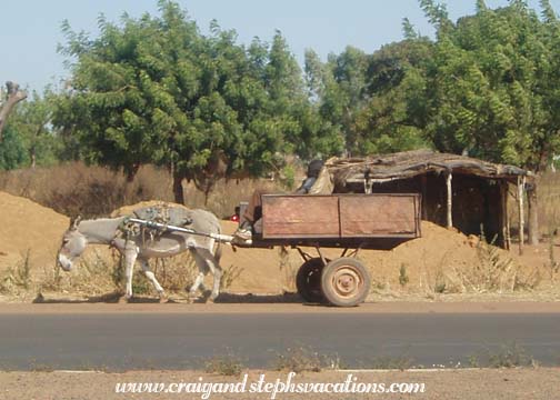 Donkey cart on the outskirts of Bamako