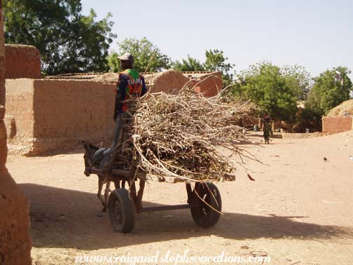 Segoukoro donkey cart