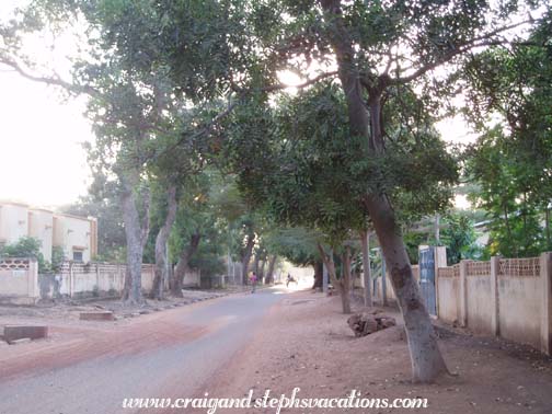 Tree-lined streets of Segou