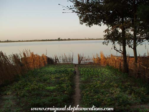 Gardens along the Niger