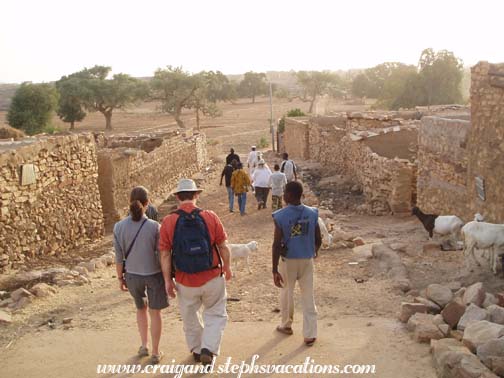 Walking  with our entourage