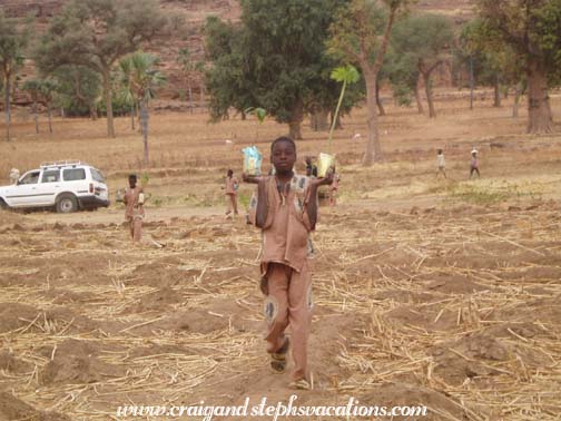 The trees arrive in Kori-Maounde