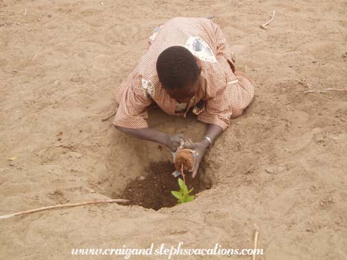 Schoolboy plants a tree