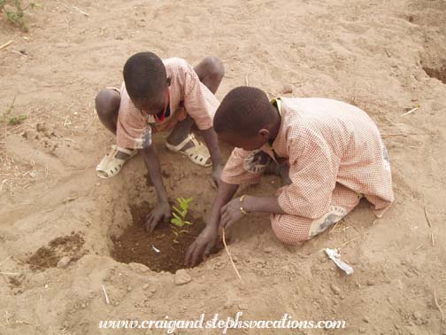 Students plant a tree