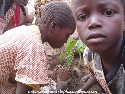 Students plant trees