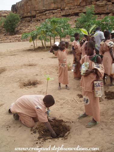 Students plant trees