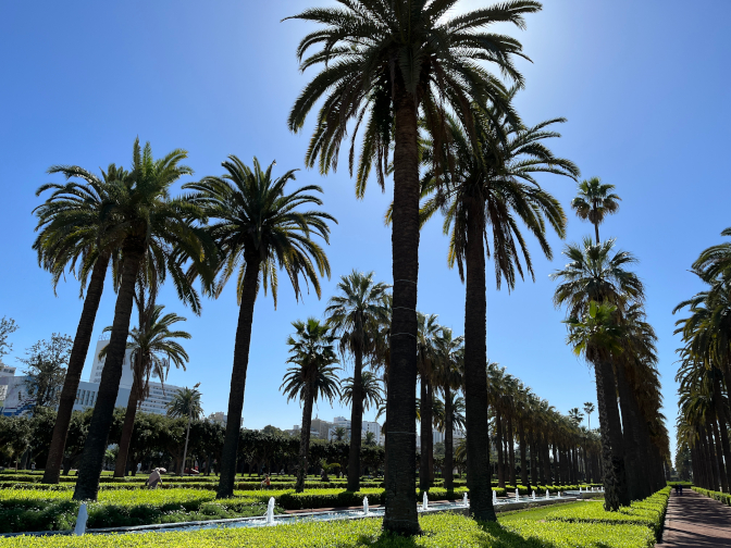 Parc de la Ligue Arabe (Arab League Park)