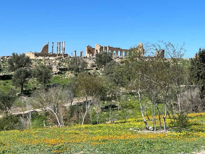 Volubilis