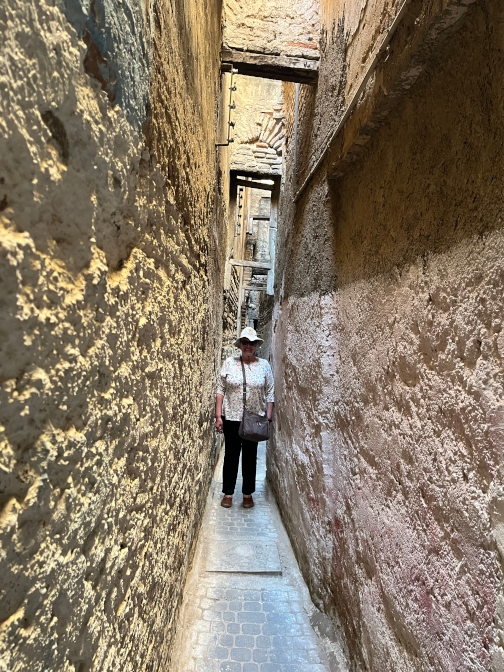 Narrow alleyways, Fes El Bali