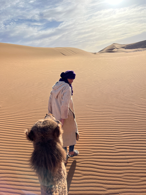 Zaid leading Bakfif through the dunes