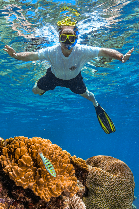 At our first snorkel spot at Opal Reef (Photo courtesy of Gary, Calypso staff photographer)