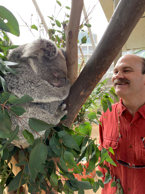 Koala encounter at WILD LIFE Sydney: Craig