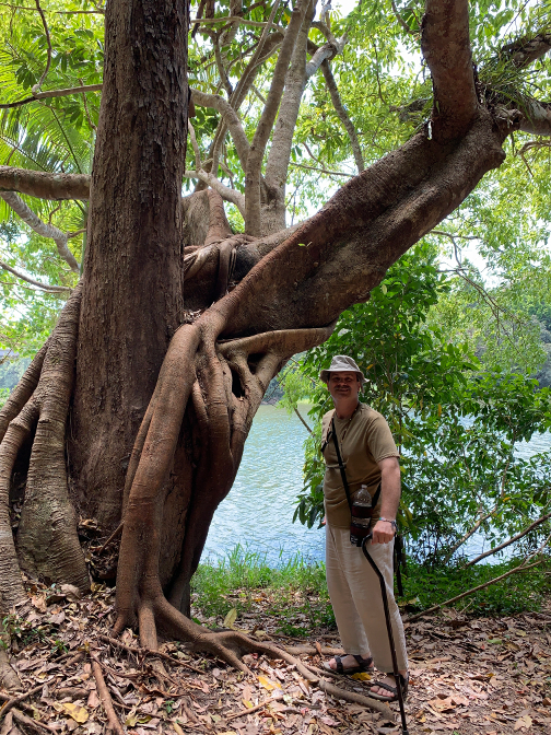 River Walk, Kuranda