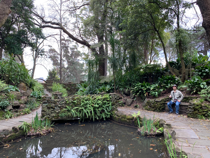 Fern Gully, King's Domain